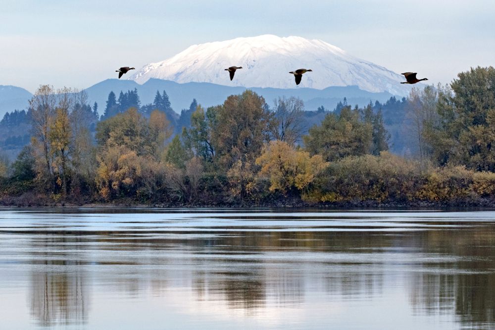 St Helen's from Sauvie Island