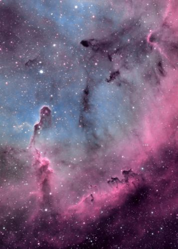 Elephants Trunk Nebula