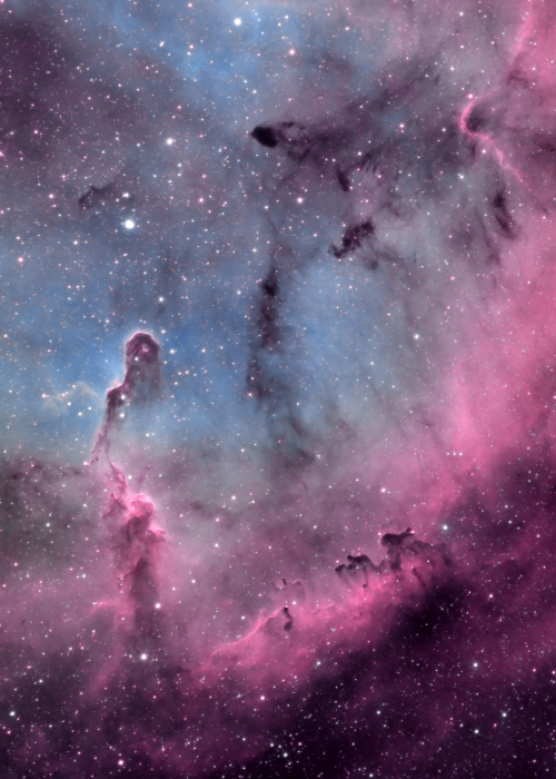 Elephants Trunk Nebula