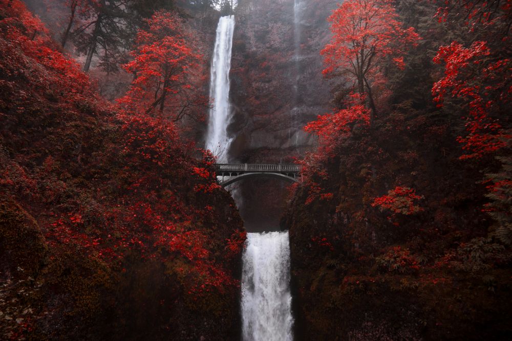 Multnomah Falls in Red
