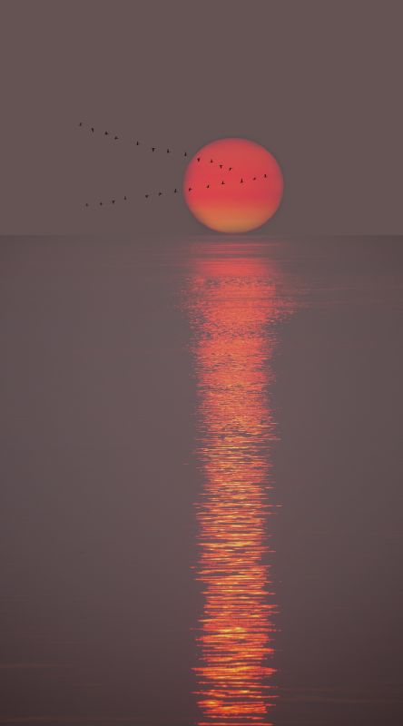 Sunrise in San Juan's