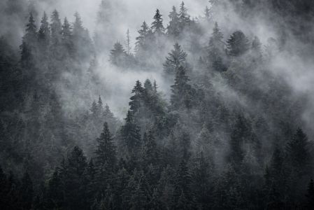 Misty mountain landscape