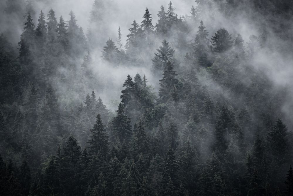Misty mountain landscape