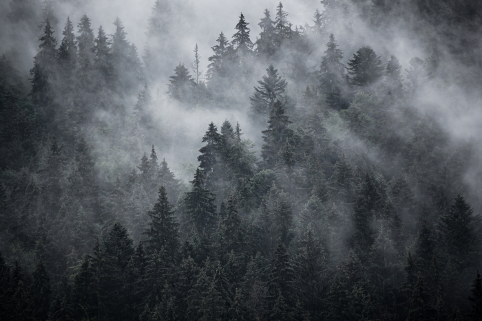 Misty mountain landscape