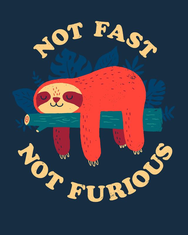 Not Fast Not Furious