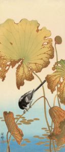 Japanese Wagtail On Lotus Plant 1925 1936