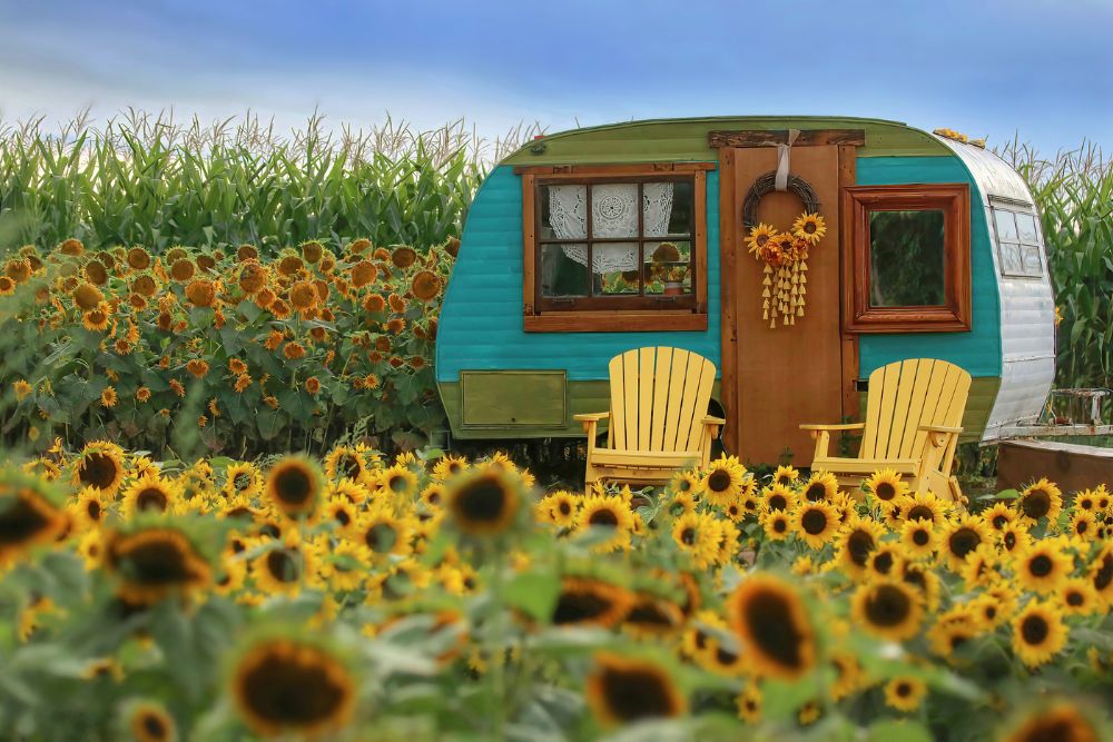  Vintage Camper And Sunflowers 2