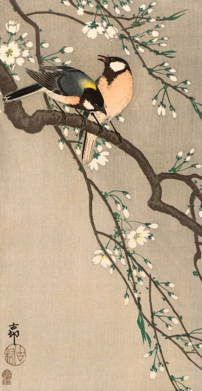 Songbirds On Cherry Branch 1900 1910