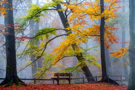 Goor Lars Take A Seat And Enjoy