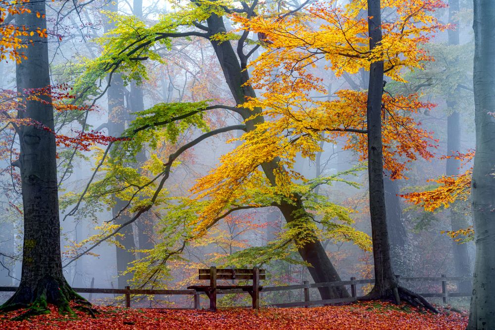 Goor Lars Take A Seat And Enjoy