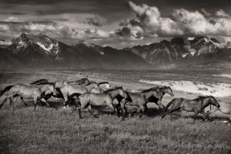 Mountain Range Mavericks