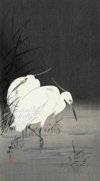 Two Egrets In The Reeds 1900 1930