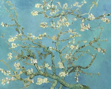 Vincent Almond Blossoms 1890