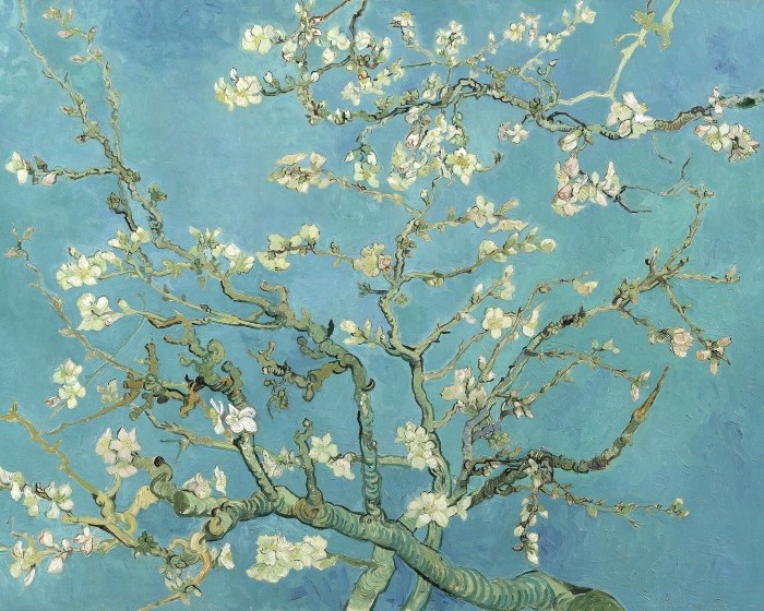 Vincent Almond Blossoms 1890