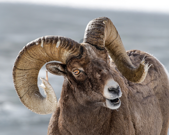 Frayed Over the Yeara