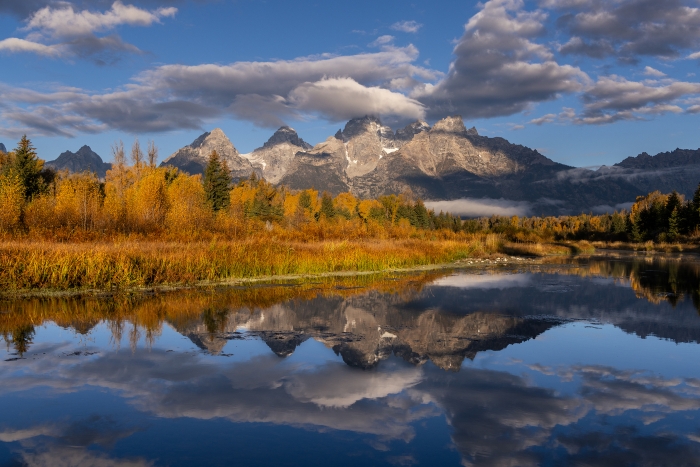 Schwabacher's Landing
