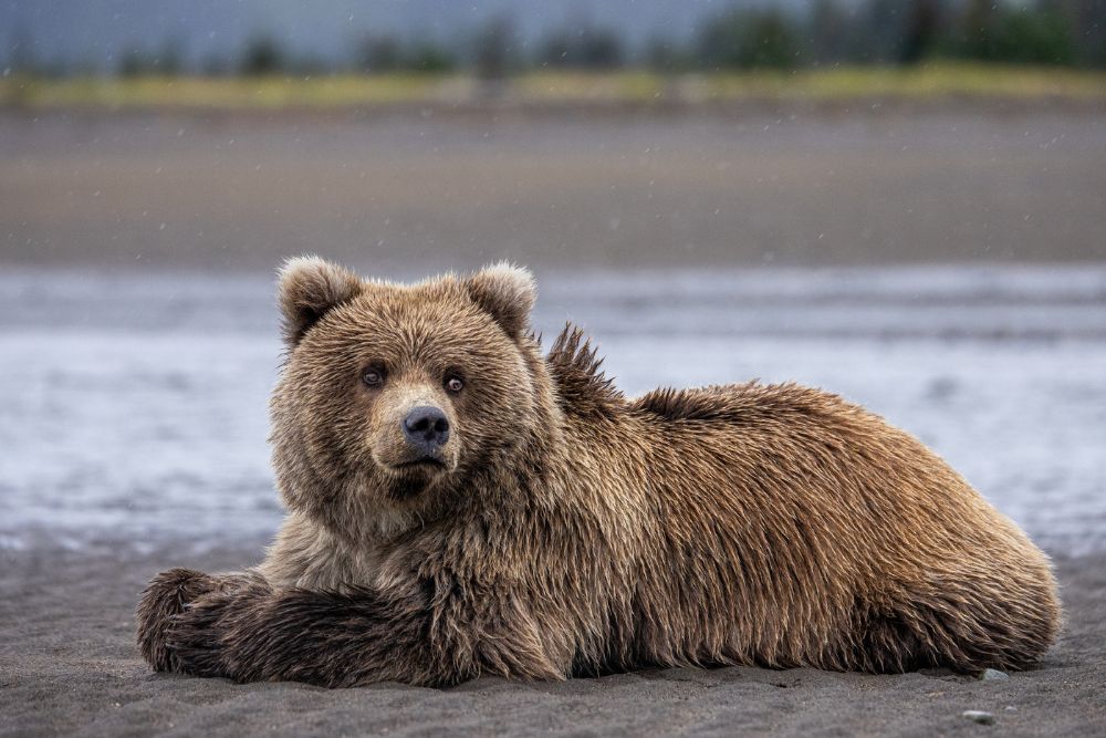 Chilling on the Beach