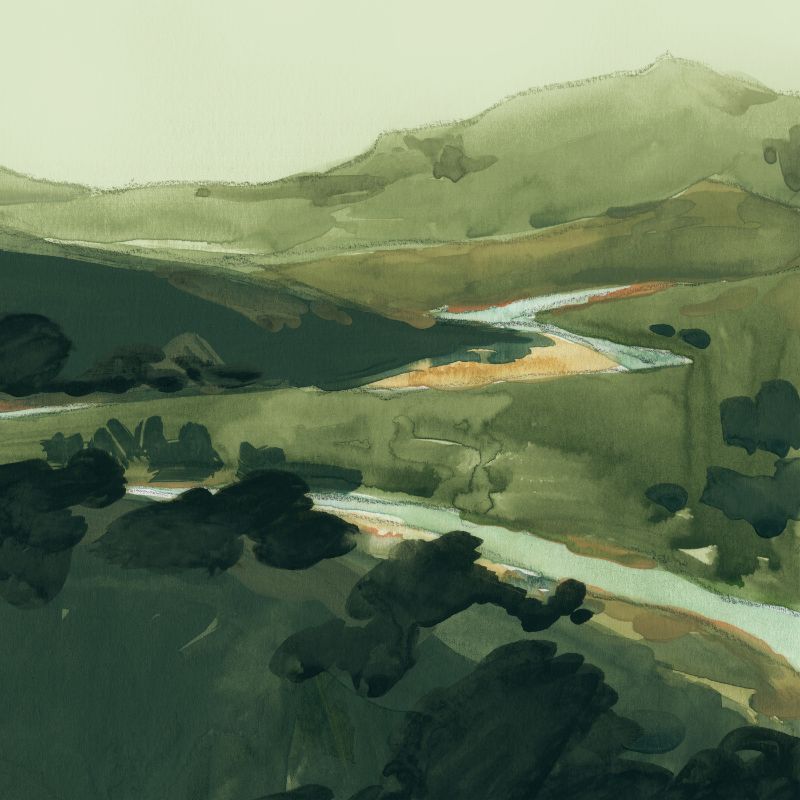 Winding Green River II