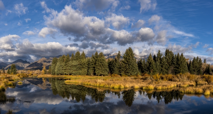 Black Tail Ponds Pano