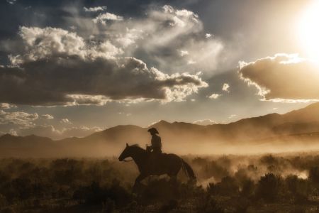 Cowboy By Day and Night I