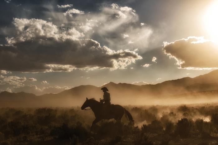 Cowboy By Day and Night I