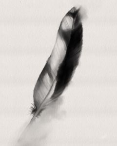 Black and white watercolor crane feather