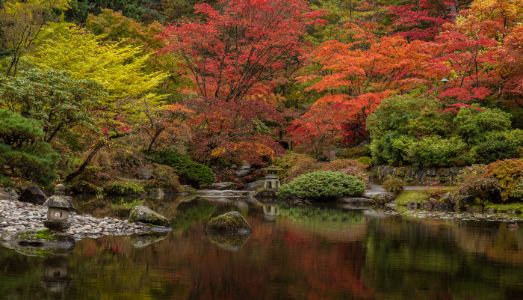 Seattle Arboretum Japanese Garden Fall Colors Reflection