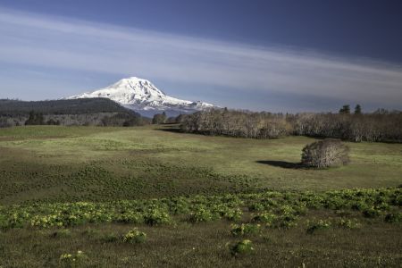 Morning at Klickitat