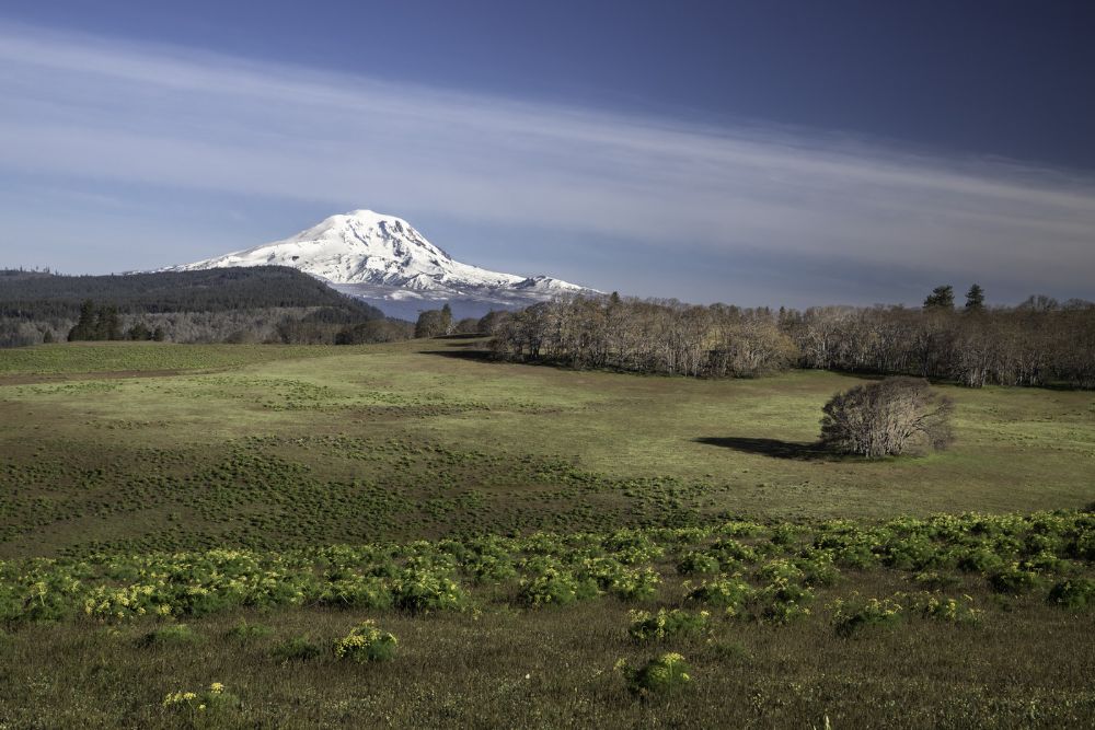 Morning at Klickitat