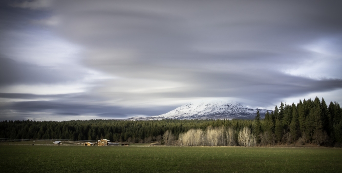 The One Who Looks Over