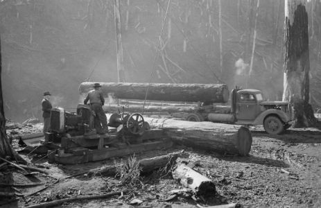 1941 Loading logs onto truck Til