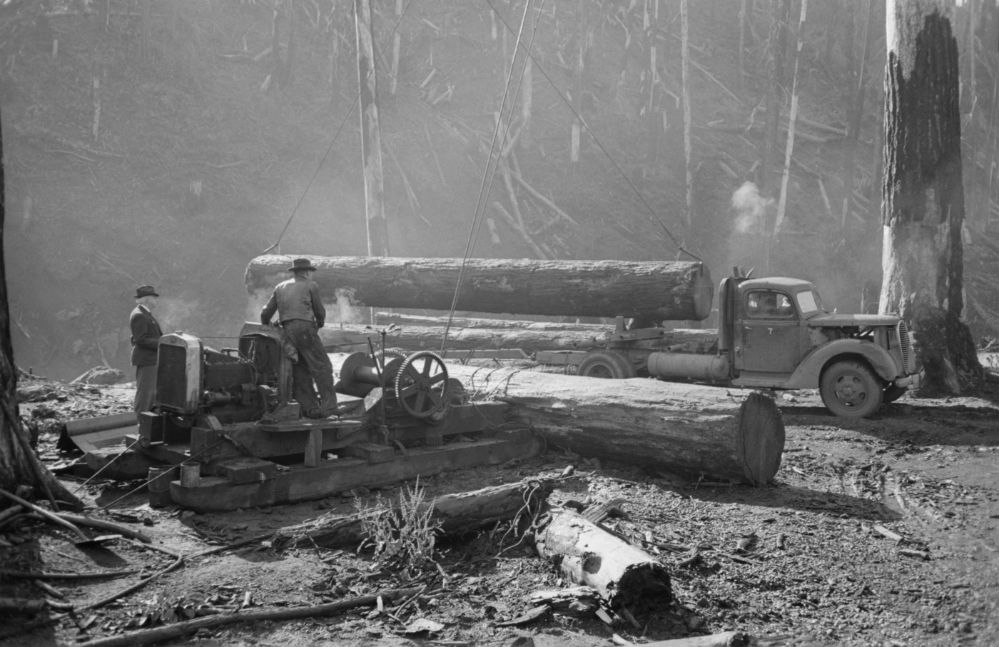 1941 Loading logs onto truck Til