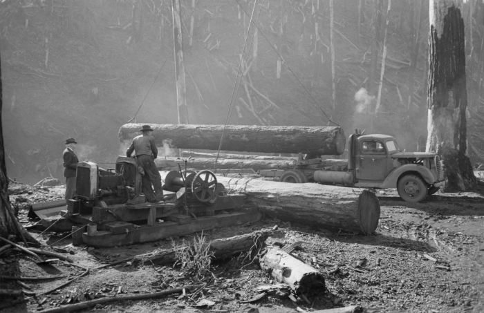 1941 Loading logs onto truck Til
