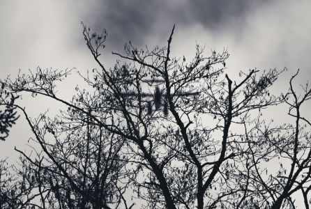 Winter Sky