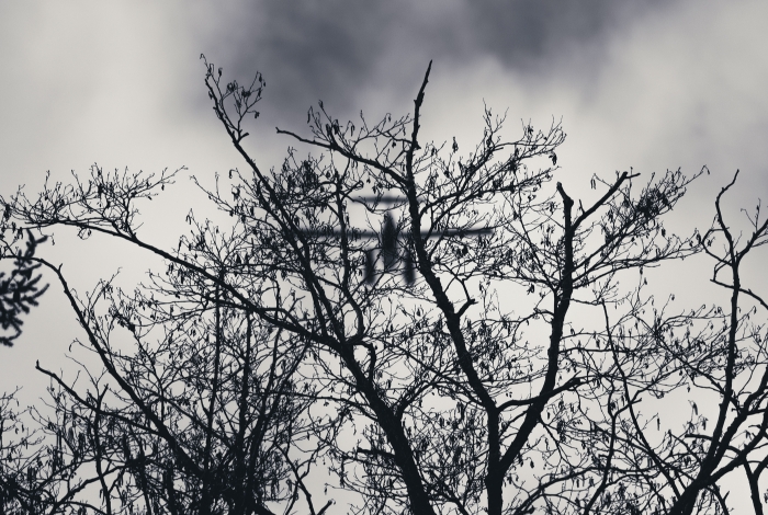 Winter Sky
