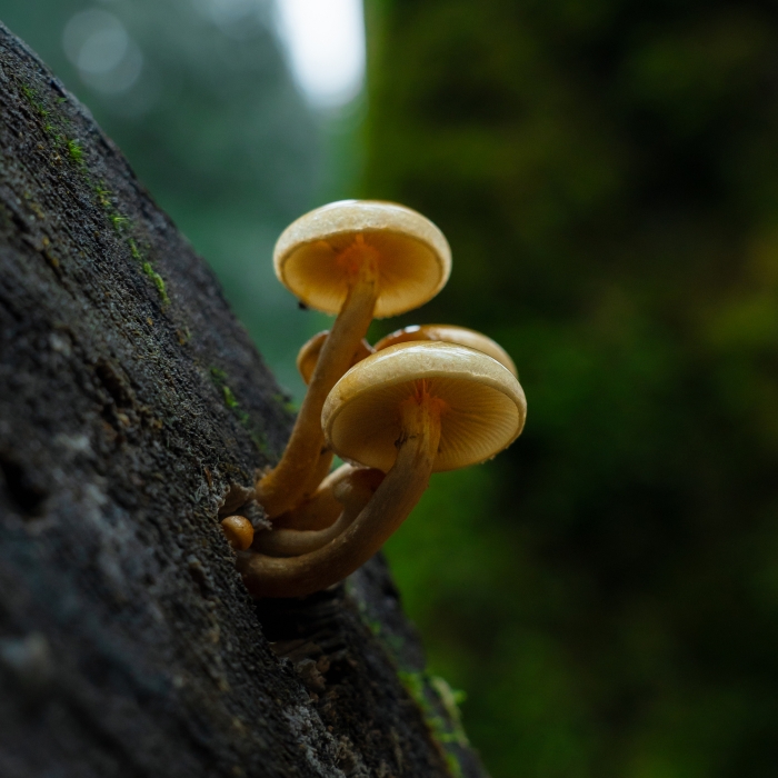 Hanging Around