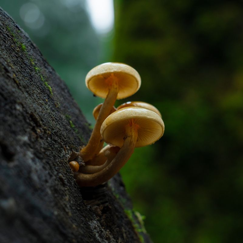 Hanging Around