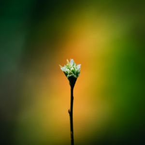 Beginning