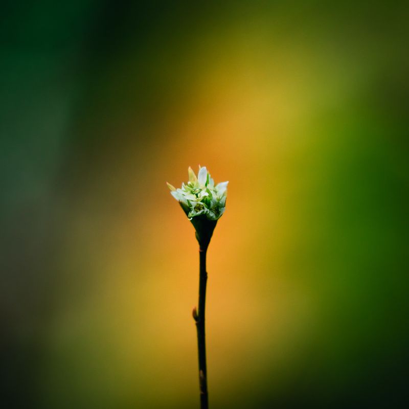 Beginning