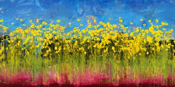 Frame,With,Yellow,Buttercups,On,A,White,Background.