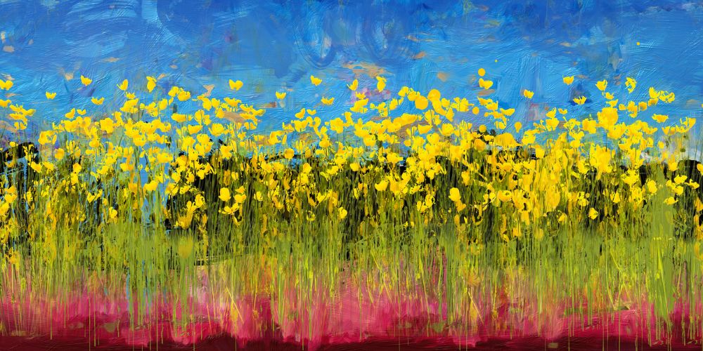 Frame,With,Yellow,Buttercups,On,A,White,Background.