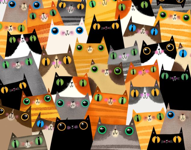 Assorted Cats