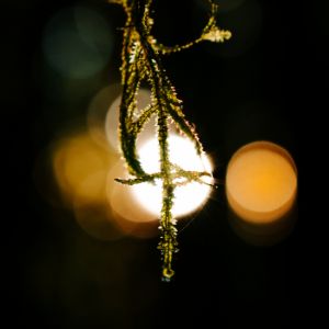Through the light 2