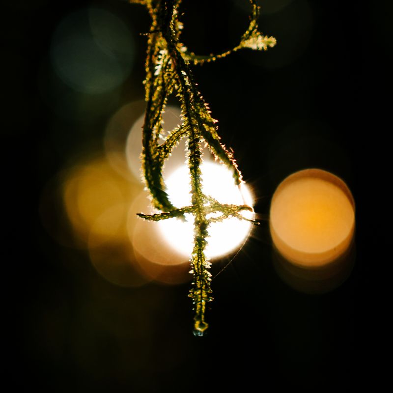 Through the light 2