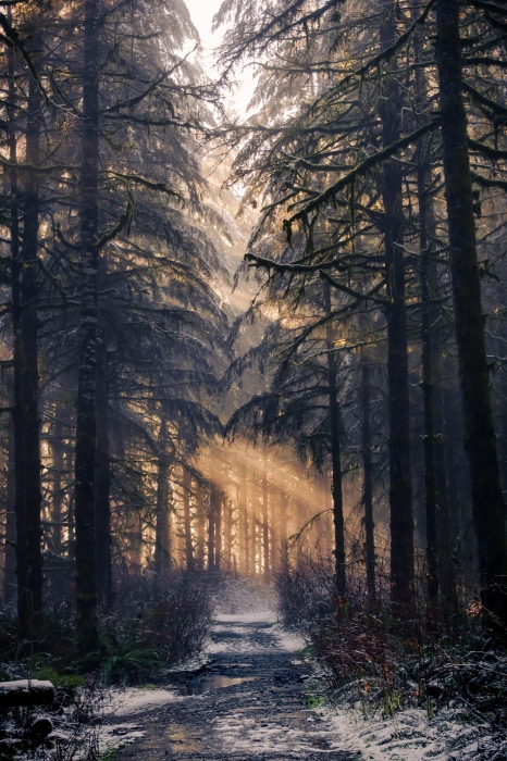 Winter Way
