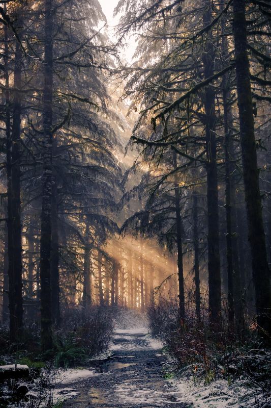 Winter Way