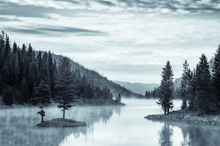 Mist on the Lake I