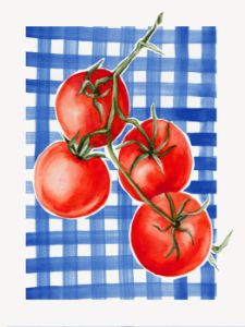 Pomodori Picnic