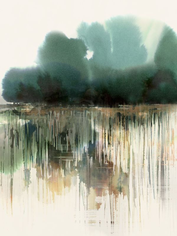 Where Stillness Blooms I