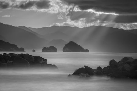 Rays
